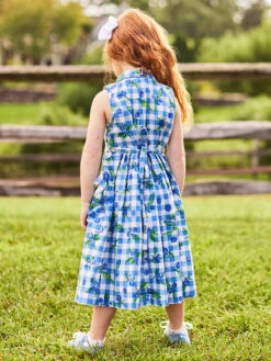 Blueberry Little Girls Dress -Clothing Sales 2024 DRK5428R BlueWhite April Cornell Dress 3